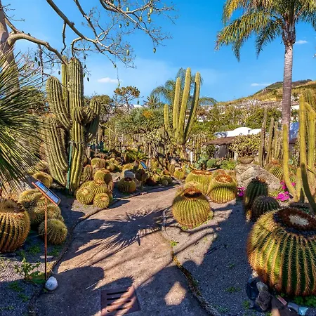 Ξενοδοχείο με διαμερίσματα Ravino Secret Retreat Forio di Ischia