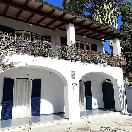 Ravino Secret Retreat Forio (Isola d'Ischia)